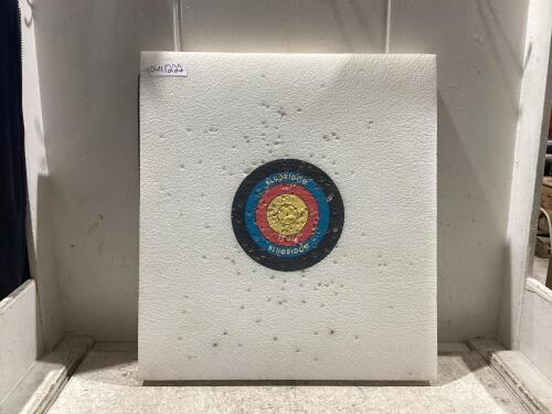 BLUE-RIDGE TARGET BLOCK