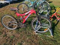 SuperCycle 12 Speed Adult Bike