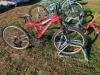 SuperCycle 12 Speed Adult Bike
