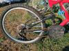 SuperCycle 12 Speed Adult Bike - 2