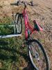 SuperCycle 12 Speed Adult Bike - 3