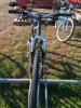 Kona Adult Bike - 3