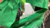 CHRISTMAS DECOR AND WRAPPING ITEMS - 5