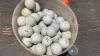 TUB OF GOLF BALLS - 2