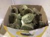 SHOP BOX OF ROOFING NAILS - 2