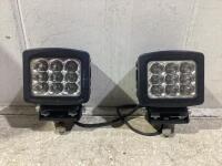 (2) LED LIGHTS