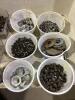 SHOP TOTE OF MIXED BOLTS, NUTS & WASHERS - 2
