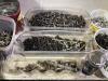 SHOP TOTE OF MIXED BOLTS, NUTS & WASHERS - 3