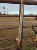 Scoop, Rake, Squeegee - 4