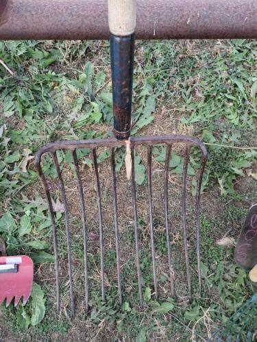 Large Pitch Fork