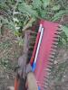 Hoe, Rakes, Squeegee - 2