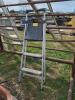2 Step Ladder