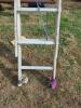 12 Foot Extension Ladder 2 - 2