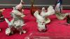 COLLECTION OF BIRD ORNAMENTS & SWAN PLATTER - 3