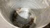 (2) CALF FEED PAILS + CALF BOTTLE - 3