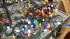 BOX OF CHRISTMAS LIGHTS, TREES - 3
