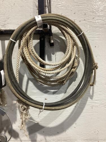 (2) BUNDLES OF ROPES