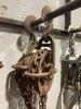 PULLEY HOOK CHAINS 246" - 3