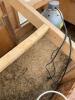 Chicken hutch - 3