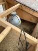 Chicken hutch - 4