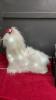 SMALL SLOWAN PET CARRIER & A CHRISTMAS LIGHT-UP FLUFFLY DOG - 3