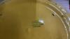 YELLOW MEDALTA CANISTER - NO LID - 4
