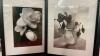 (3) BLACK & WHITE FLORAL PICTURES - 3