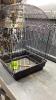 LARGE BIRD CAGE - MORE ORNATE - 3