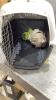 PET TAXI PET CARRIER - 3