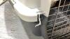 PET TAXI PET CARRIER - 4