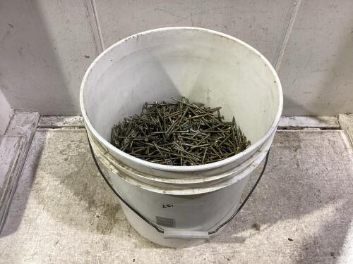 SHOP PAIL OF SCREWS