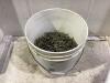 SHOP PAIL OF SCREWS