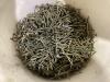 SHOP PAIL OF SCREWS - 2