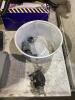 (2) SHO PAILS OF MISCELLANEOUS W/ ELETRICAL PARTS, BICYCLE SEATS, SILICONE HALF-MASK & EMPTY BOX - 6
