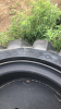 Skid Steer Tires and Rims - 3