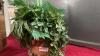 GNOME FAIRY GARDEN DECOR - 4