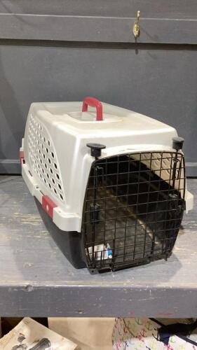 PET CARRIER