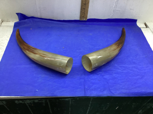 TWO HORNS