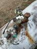 Ever ready propane/butane tank - 3