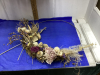 LARIAT WREATH W/DRIED FLOWERS - 2