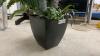 ARTIFICIAL PALM TREE - 4