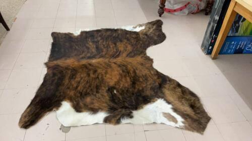 BRINDLE HAIR ON 1/2 HIDE