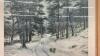 J. FARQUHARSON PRINT - 2