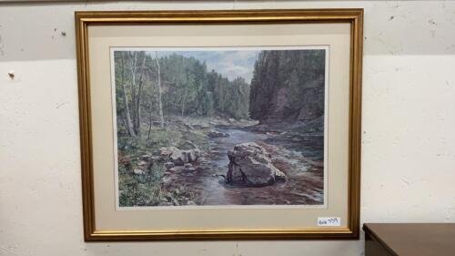 LATE SPRING AT ELORA GORGE PICTURE - 81/250