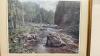 LATE SPRING AT ELORA GORGE PICTURE - 81/250 - 2
