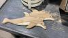 (2)BOXES - TUPPERWARE PIE TRAYS, PLASTIC STORAGE CONTAINES, DOLPHIN WOOD DECOR PIECE(INTARSIA) - 4