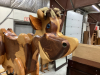 LARGE HANDMADE WOODEN COW - 2