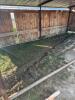 Cattle shelter - 3