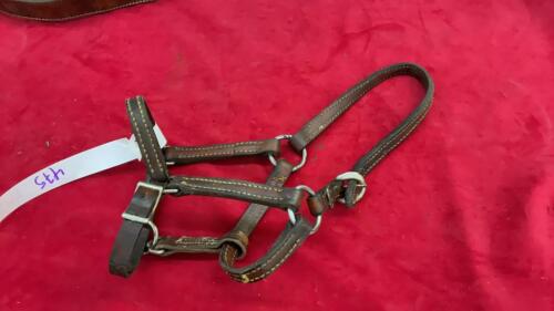 PONY LEATHER HALTER