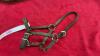PONY LEATHER HALTER